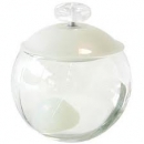 NOA EDT 100V